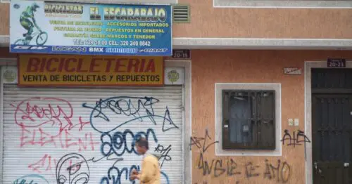 EL ESCARABAJO EL ESCARABAJO